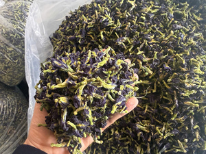 Flor de guisante morado seca de Vietnam, hierba floral entera envasada al vacío, suministro a granel para té y condimento, agricultura y alimentos. - Product Image 1