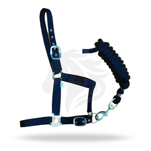 Harnais pour cheval en nylon rayé avec rembourrage, collier réglable avec quincaillerie métallique - Product Image 1