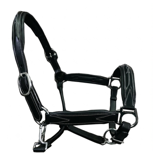 Harnais de cheval en cuir rembourré confortable avec surpiqûres contrastées fantaisie et double quincaillerie réglable en laiton nickelé, toutes tailles - Product Image 6