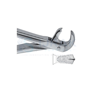 คีมถอนฟัน ฟันหน้าบน รากฟัน สแตนเลส เครื่องมือผ่าตัดแบบใช้มือ คลาส 1 - Product Image 5