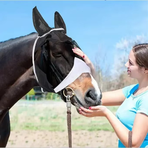 Premium Quality Adjustable Horse <b>Fly</b> <b>Mask</b> Soft Breathable Mesh Ears Protection Durable Customizable - Product Image 2