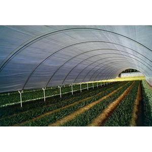 Serres agricoles professionnelles à simple travée Pingaksha, en acier galvanisé avec couverture en film, pour usage en ferme et pépinière, qualité export - Product Image 2