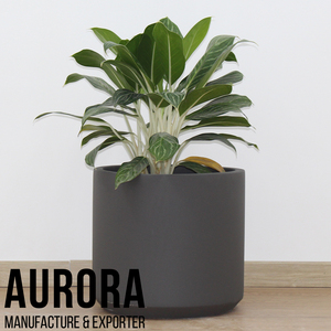 AURORA POTS AUFC028 Ensemble de pots à fleurs minimalistes en béton avec trou de drainage, écologiques, gris, pour l'intérieur/l'extérieur, jardinières pour la maison - Product Image 5