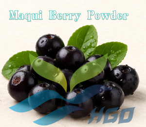 Suministro Directo de Fábrica HGO de Polvo de Baya de Maqui Puro y Natural (Grado Alimenticio) Especificaciones Polvo de Fruta (Polvo de Fruta Liofilizada) - Product Image 2