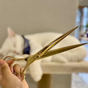 อุปกรณ์เสริมสวยสำหรับสัตว์เลี้ยง9นิ้วทำจากสเตนเลสใช้สำหรับดูแลสัตว์เลี้ยงสินค้าพรีเมียมขนาด9นิ้ว - Product Image 1