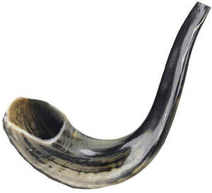 Meilleure vente : Shofar de buffle israélien de haute qualité, casher, de Terre Sainte, fait main, étanche, style religieux, poli, en forme de trompette - Product Image 5