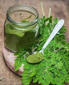 Poudre de Moringa Oleifera Premium, Poudre de Feuilles de Moringa Naturelle, Poudre de Feuilles Vertes à Base de Plantes pour la Santé et le Bien-être, Vente en Gros, Exportation Inde - Product Image 2