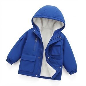 Ensemble de veste deux pièces brodée pour enfants, fermeture éclair intégrale, capuche, doublure en polaire écologique, vêtements de sport d'automne, tenue décontractée confortable pour garçons - Product Image 4