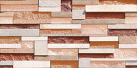 Carreaux muraux Premium Choice de qualité supérieure, carreaux d'élévation Asia Tiles 300x600mm pour articles de santé.