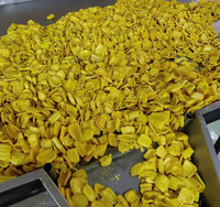 Vietnamese biologische knapperige gedroogde jackfruitchips - bulk vacuüm verpakt natuurlijke zoete snack - OEM beschikbaar lange houdbaarheid