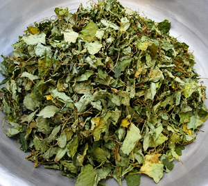Feuilles de menthe séchées par congélation du Vietnam, qualité supérieure pour la production de thé, ingrédients alimentaires et approvisionnement à l'exportation - Product Image 6