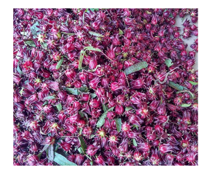Hibisco Seco de Vietnam: Proveedor de Hibisco Seco Natural para Bebidas y Té de Roselle, Exportación a Granel - Product Image 6