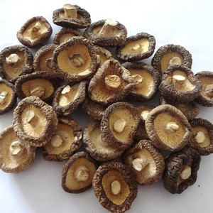 Champignons shiitake déshydratés pour nouilles instantanées et mélanges de soupes, provenance Vietnam - Product Image 5