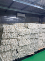 High Quality Glass Noodles Instant In Bag Packaging OEM/ODM 400gr 85% Tapioca Starch 15% Clean Water Dried Vermicelli Dry Food