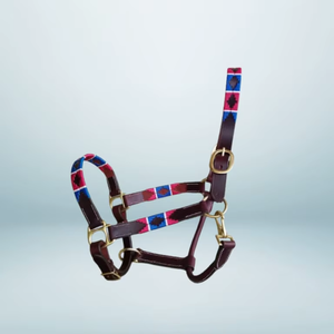 Licol en cuir Western pour cheval, réglable, en cuir premium, avec ferrures en laiton, confortable pour l'équitation et l'entraînement - Product Image 2