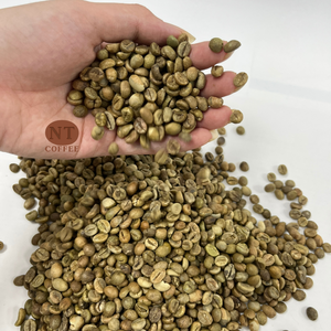 Venta al por Mayor de Granos de Café Verde Robusta, Origen Vietnam, Cuerpo Intenso, Alto Contenido de Cafeína, Exportación a Granel para Compradores B2B - Product Image 1