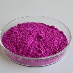 ผงแก้วมังกรคุณภาพสูง อุดมไปด้วยสารต้านอนุมูลอิสระ เหมาะสำหรับสมูทตี้ น้ำผลไม้ และการใช้ในเบเกอรี่ // คุณทอม - Product Image 2