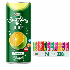 Jus de mangue pétillant en bouteille plastique 330ml, lot de 24, VINUT, fournisseur Vietnamien pour grossistes, importateurs, distributeurs, Horeca - Product Image 1