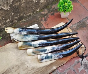 Chausse-pied en corne de buffle poli, fait main, de forme naturelle, à thème animalier, design floral, moderne et écologique, cadeau d'affaires pour hommes F S - Product Image 1