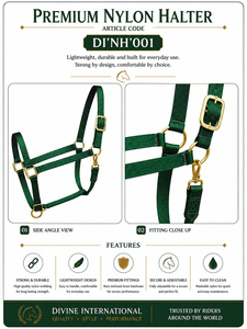 Harnais pour cheval en nylon de qualité supérieure Divine International, avec quincaillerie en laiton, design rembourré réglable, couleurs OEM/personnalisées disponibles, modèle - Product Image 2