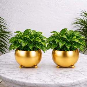 Brass Planter <b>Vase</b> Handicrafts Planter Pot Latest Design Modern Brass Plated Hand Carved Eco-Friendly Plant Pot - Product Image 2