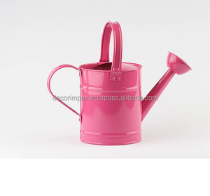 Fer Arrosoir Métal Fleur Arrosage Pots Bouilloire Arrangement De Fleurs Seau Enfants Plage Jouets pour La Maison Jardin Plantes Fleur - Product Image 2