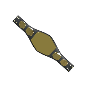 Cinturón de Campeonato de Lucha Libre Clásico, Placa Metálica de Alta Calidad, Logotipo Personalizado, Venta al Por Mayor, ODM, Novedad 2026 - Product Image 4