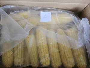 ข้าวโพดหวานแช่แข็งคุณภาพดี ราคาดีที่สุด สำหรับส่งออก รองรับ OEM ODM ข้าวโพดหวานแช่แข็งขายส่ง - Product Image 6