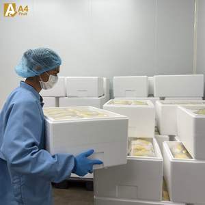 Pulpa de Durian Congelada Premium de Tailandia para Exportación, Durian Monthong Tailandés de Cosecha Fresca, Listo para Envío, Congelado en Tailandia - Product Image 6