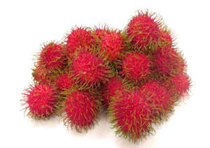 HOT <b>CANNED</b> <b>FRUIT</b>!! RAMBUTAN <b>CANNED</b> MADE in VIETNAM/ NATURAL SWEETNESS MIXING WITH COOL DRINKS/ Ms.Selina - Product Image 4