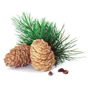 Bulk Exporter & Manufacturer Cedarwood (Cedrus Deodara) Himalayan <b>Essential</b> <b>Oil</b> Wholesale 100% Pure Natural Steam Distilled <b>Oil</b> - Product Image 3