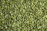 Chicchi di Caffè Robusta Verde di Prima Qualità Grado 1 S16, S18 - Naturale di Alta Qualità dal Vietnam, Miglior Prezzo Pronto per l'Esportazione