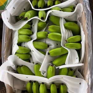 Plátanos Cavendish Premium de Vietnam para Exportación Mundial - Product Image 5
