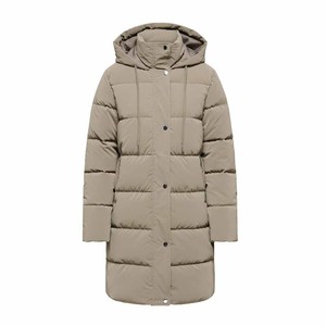 Chaqueta de Moda OEM para Mujer, Chaqueta Impermeable y Cortavientos con Relleno para el Mercado Estadounidense - Product Image 6