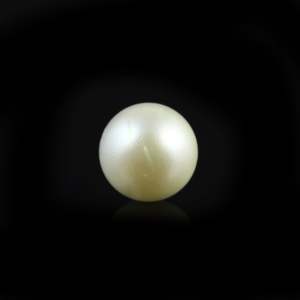 Certified Natural Freshwater Baroque Pearl-8.6 Carat Loose Button Shape-Wholesale - Product Image 2