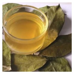 Selected Graviola Dried Soursop Leaves <b>Tea</b> Ingredient Bulk Wholesale - Product Image 3