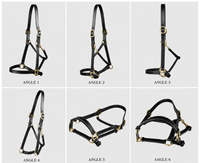 Harnais de cheval en cuir haut de gamme, modèle DI'LH'020, fabricant OEM d'Uttar Pradesh, Inde, Divine International