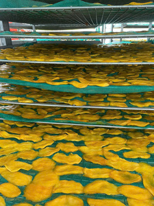 Tranches de mangue séchées FD de haute qualité, écologiques et durables, pour régime végétalien et décoration de pâtisserie, vente en gros - Product Image 4