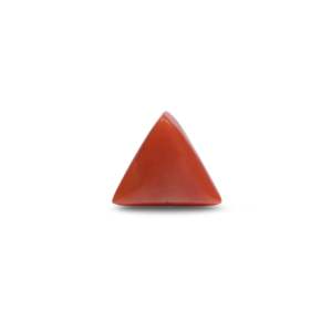Natural Red Coral Loose Gemstone 5.5 Carat Certified Triangle Oval Cabochon 7mm - Product Image 2