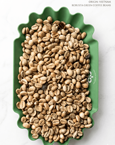 Café en Grano Verde Grado 1, Proceso Honey, Robusta, Aroma Dulce y Afrutado, Sabor Suave, Proveedor de Café a Granel, 60 kg/bolsa - Product Image 1