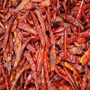 Nueva Temporada de Chile Rojo Entero Indio Premium, Pimiento Seco para Comerciantes de Ingredientes Alimenticios y Venta al por Mayor Internacional - Product Image 1