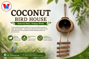 Casa para Pájaros de Coco, Escondite de Cáscara de Coco para Loros, Pájaros, Hámsters, Reptiles, Mascotas, Ecológica, OEM, Marca Privada - Product Image 5