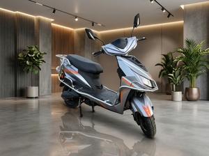 Trottinette électrique NK E-BIKES Grey DL Wolf par Engtian Electric Bike Limited, autonomie 40-50 km, chargeur étanche, marche arrière. - Product Image 3