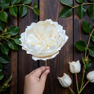 VADEE Sola Wood Flower Craft Handmade Sustainable Pure Ivory Elegance Sola Wood Flowers 8.5 CM Sesbania Fiber Rod Thailand - Product Image 1