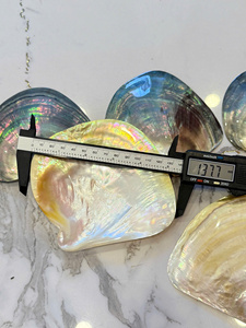 Assiette en nacre noire avec lueur nacrée dorée – Plat unique en coquillage naturel pour restaurants et hôtels - Product Image 3