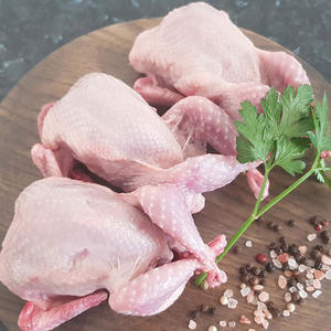 Cailles congelées halal de qualité export certifiée, grade AA, faible teneur en glucides, origine Royaume-Uni, conditionnées pour la distribution en gros - Product Image 4