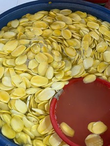 Mango Deshidratado en Rodajas de Vietnam FD - Venta al por Mayor, Sabor Dulce, Bajo Precio para Pedidos de Gran Volumen - Product Image 6