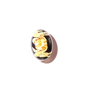 Cabujón de Plástico con Espécimen Real de Cangrejo Ovalado de 12x18 mm sobre Base Plana Negra para Manualidades y Joyería - Product Image 2