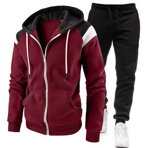 Ensemble de survêtement deux pièces à capuche pour homme, style tendance, nouvelle collection hiver, 100% coton, haute qualité, vente en gros - Product Image 5