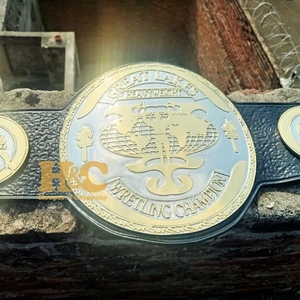 Custom Wrestling Championship Belt Wrestling Heavy Weight Championship Belt Wrestling Light Weight Championship Belt - Product Image 1